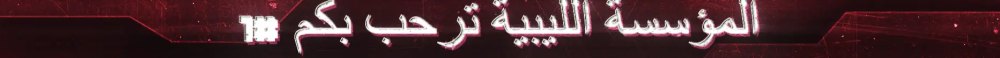 Banner of المؤسسة الليبية