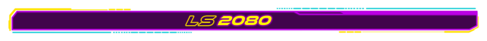 Banner of Los Santos 2080