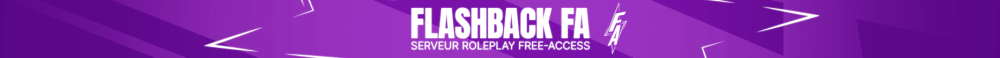 Банер FlashBack FA